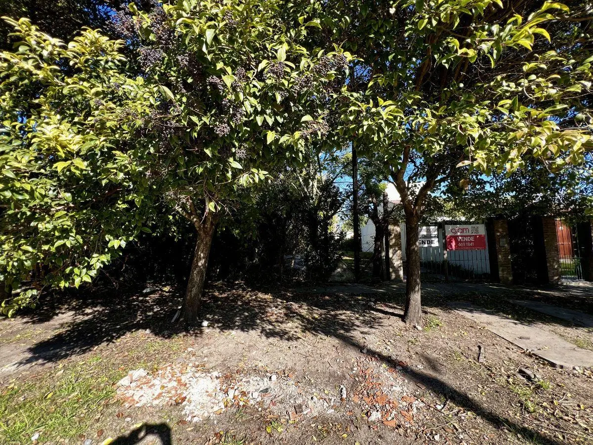 Lote arbolado en buen barrio 5