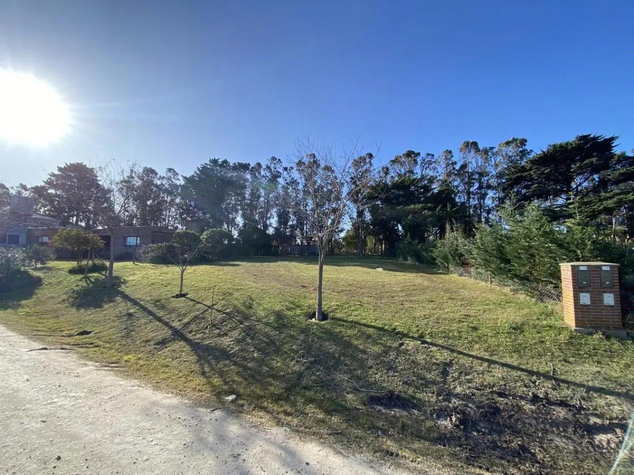 Foto de LOTE EN VENTA BARRANCAS DE SAN BENITO., imagen 5