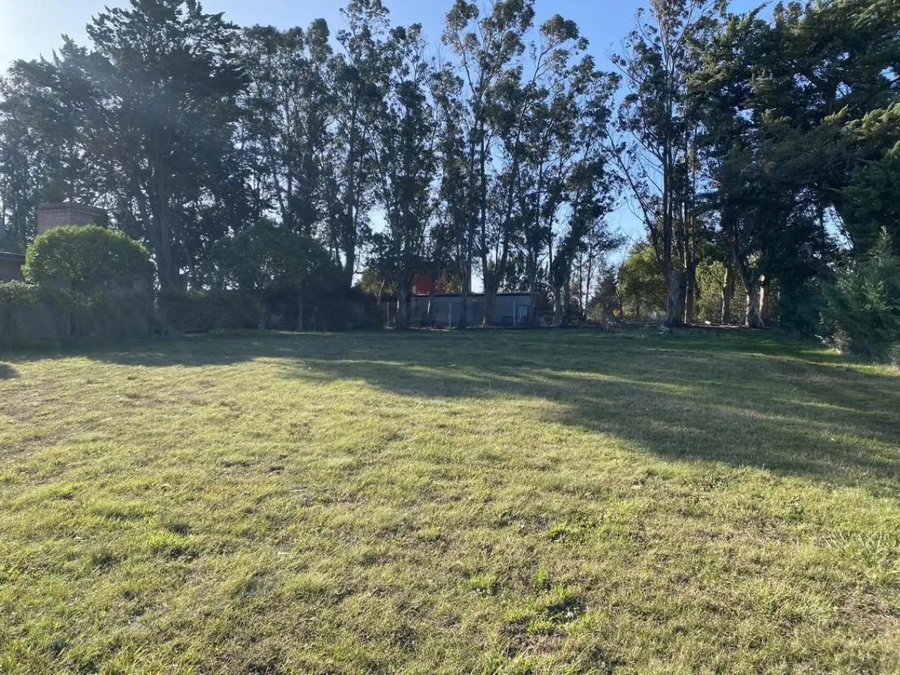 Foto de LOTE EN VENTA BARRANCAS DE SAN BENITO., imagen 2