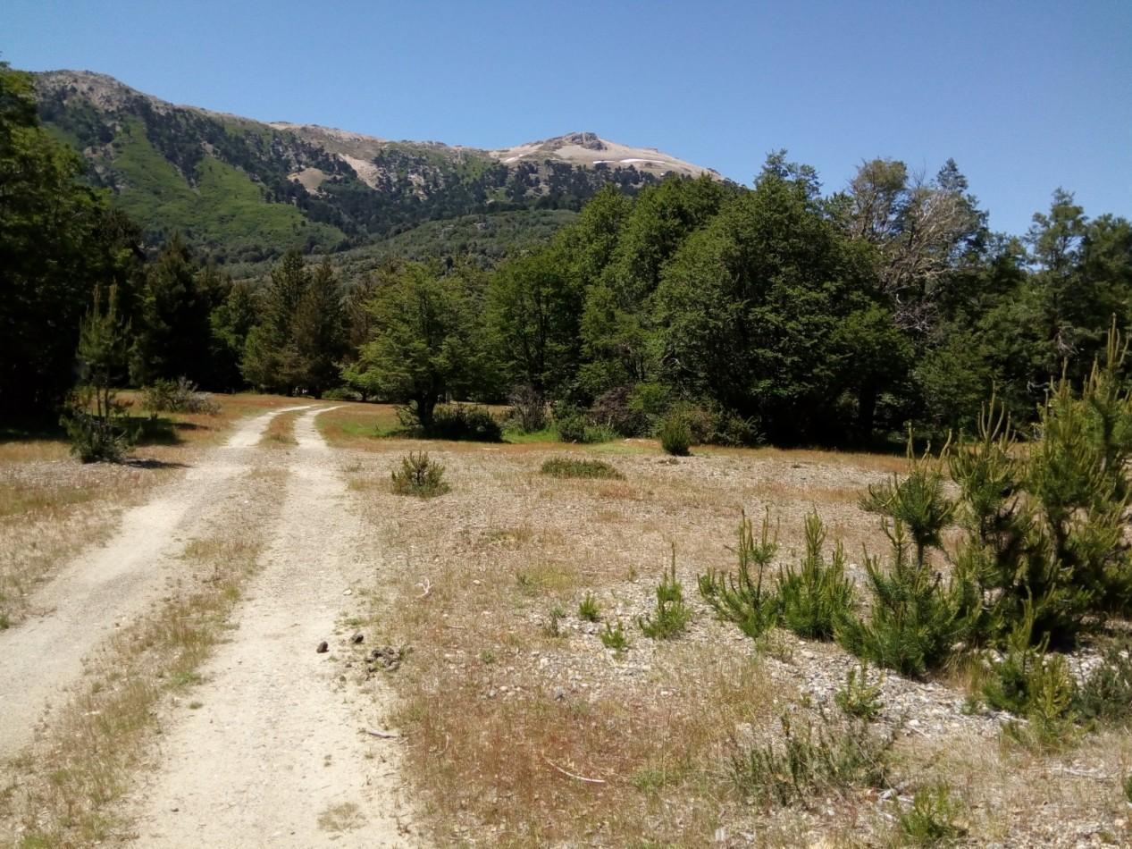 Foto de LOTE EN MOQUEHUE CON SALIDA AL QUILLAHUE. 1400 m², imagen 4