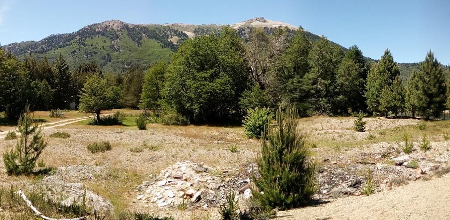Foto de LOTE EN MOQUEHUE CON SALIDA AL QUILLAHUE. 1400 m², imagen 1