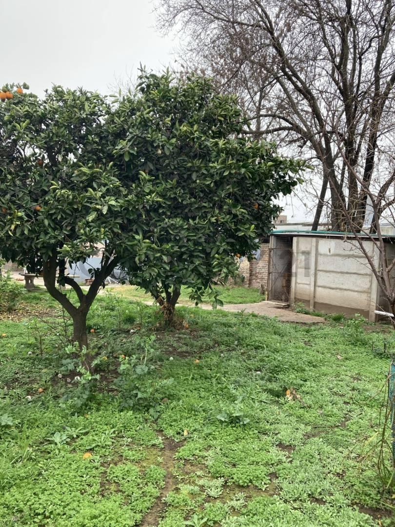 Foto de Casa con Local Comercial Rentado sobre lote de 428,75 m² | Excelente, imagen 5