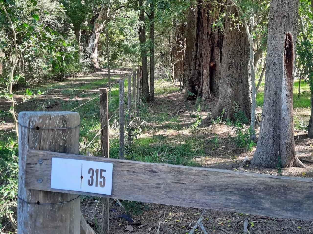 Terreno en Estancia Benquerencia