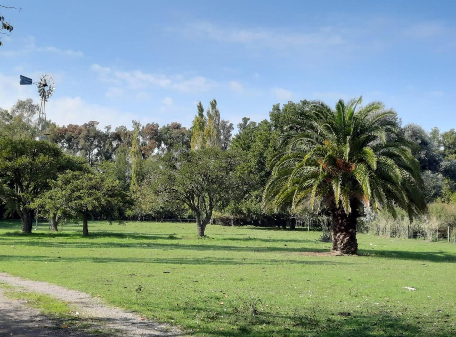 Foto de Casa en Estancia Benquerencia 318, imagen 3