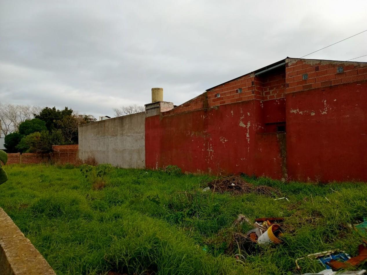 Foto de LOTE EN PUNTA MOGOTES, imagen 4