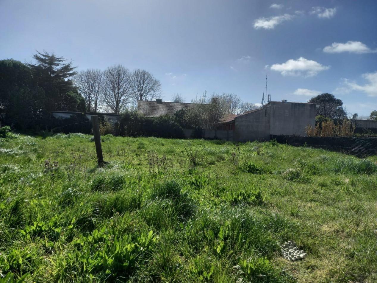Foto de Lote en Barrio Jardin, imagen 5