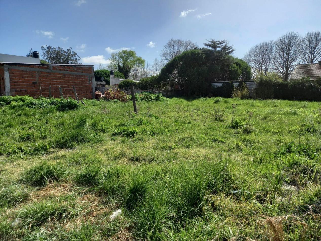 Foto de Lote en Barrio Jardin, imagen 4