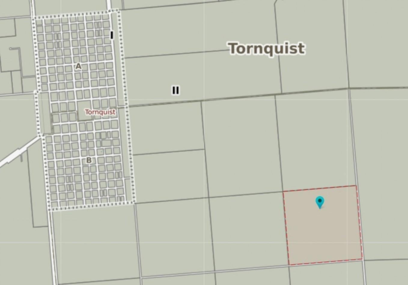 Foto de CAMPO MIXTO - TORNQUIST - NUEVO VALOR, imagen 3