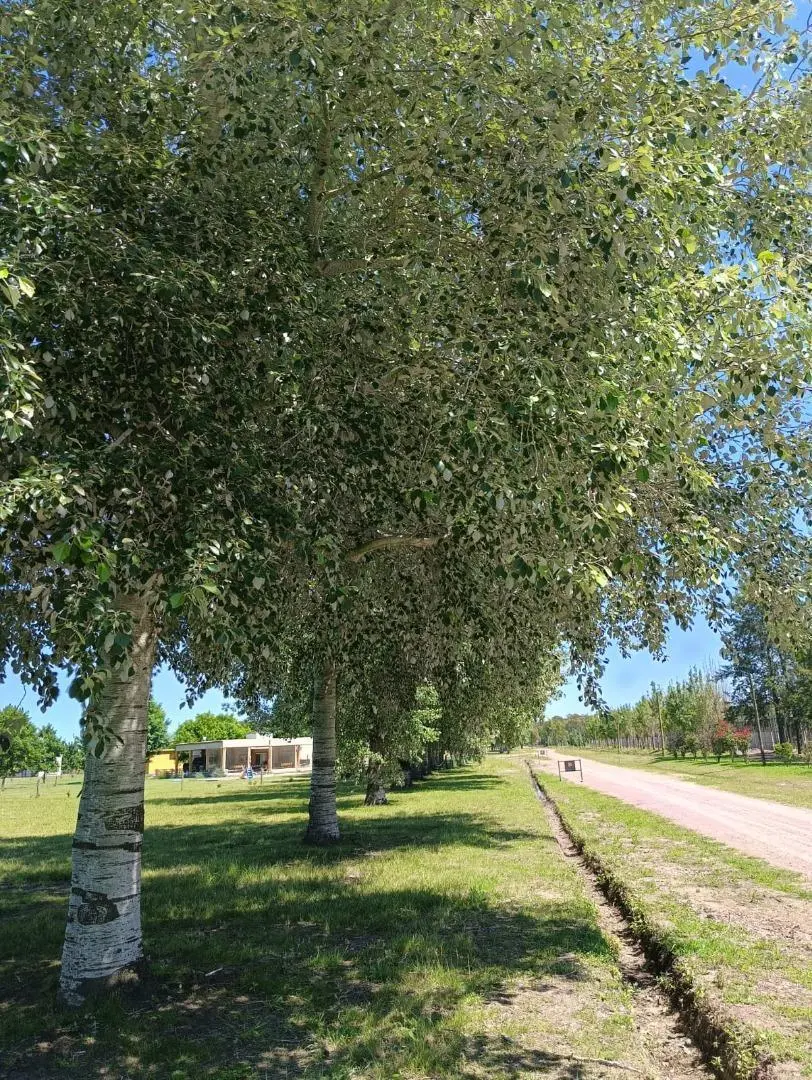 Lote en Fincas de San Vicente 4