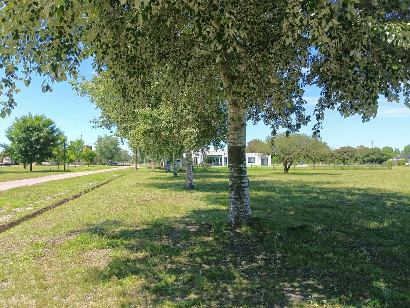 Lote en Fincas de San Vicente 2