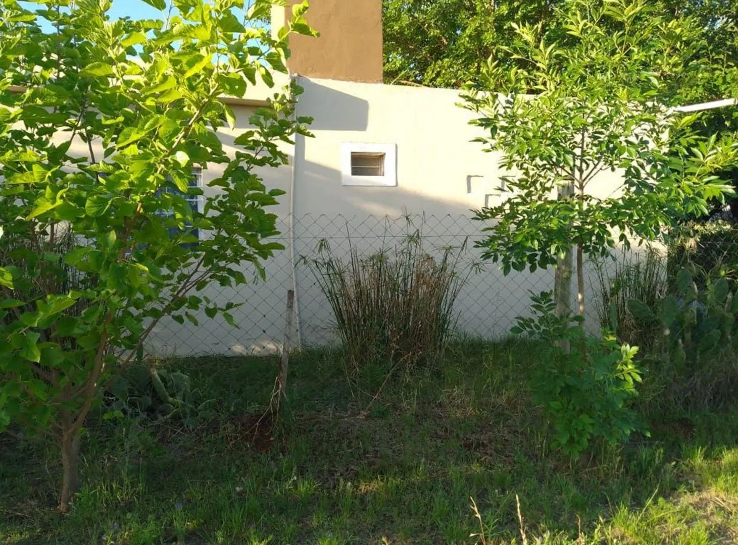ALQUILER CASA AMOBLADA PATIO Y PILETA EN ANISACATE 5