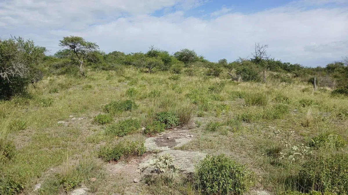 VENTA TERRENO TANTI 50.500m2 OPORTUNIDAD INVERSOR 4