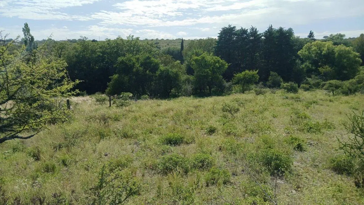 VENTA TERRENO TANTI 50.500m2 OPORTUNIDAD INVERSOR 5