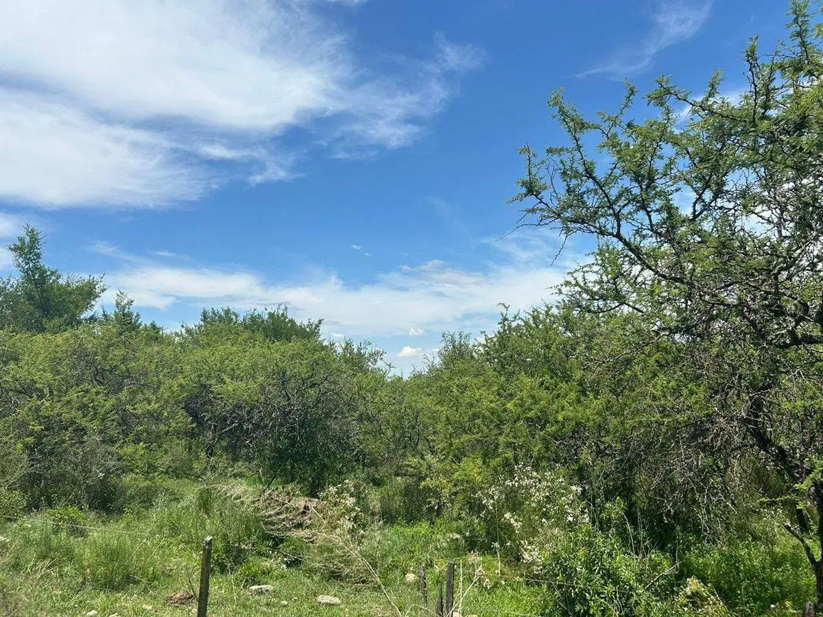 VENTA 22.8 HECTAREAS ESCRITURA VILLA DEL DIQUE 4