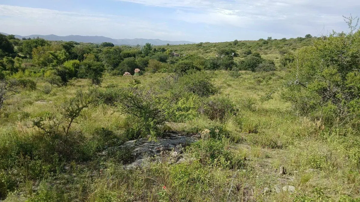 VENTA TERRENO TANTI 50.500m2 OPORTUNIDAD INVERSOR 3