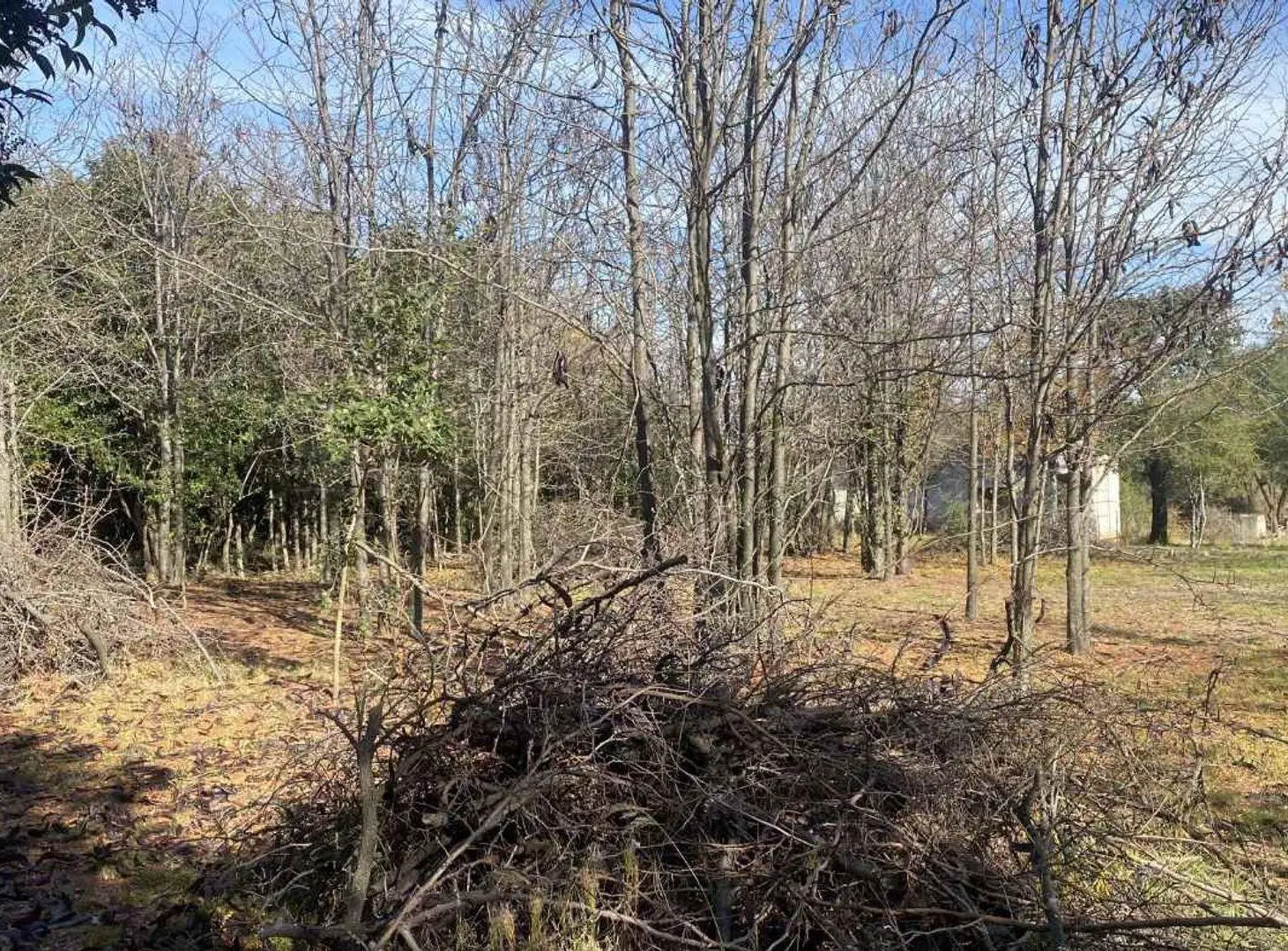 VENTA TERRENO 2.500 M2 CON ESCRITURA LOS MOLLES! 4