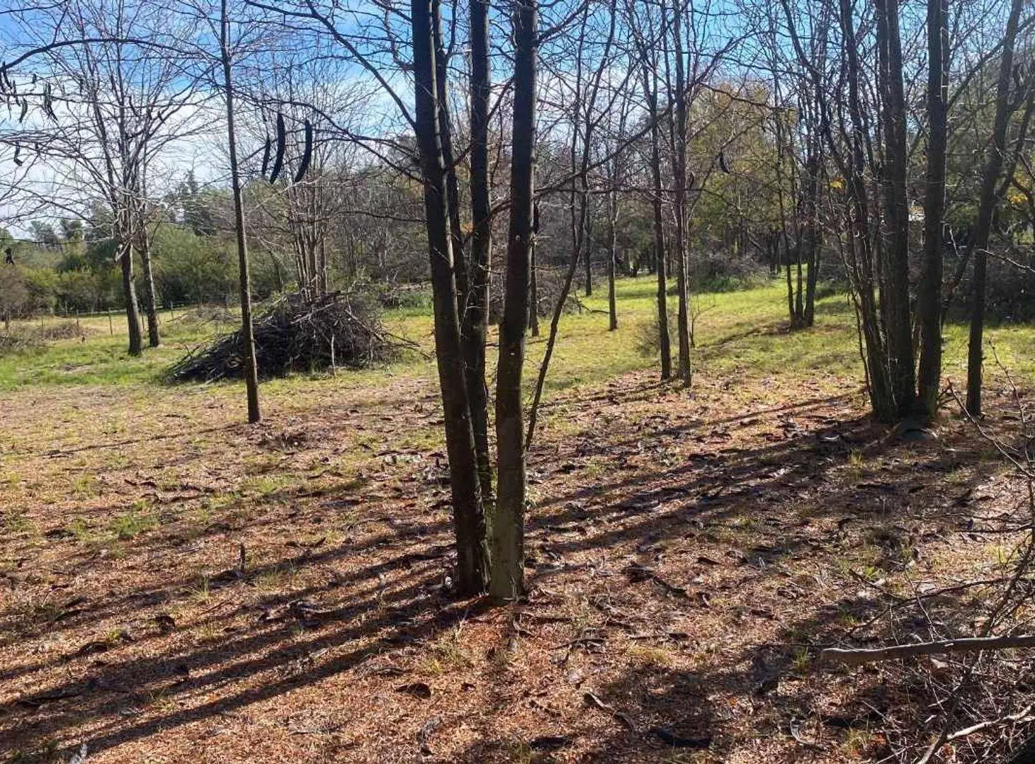 VENTA TERRENO 2.500 M2 CON ESCRITURA LOS MOLLES! 5
