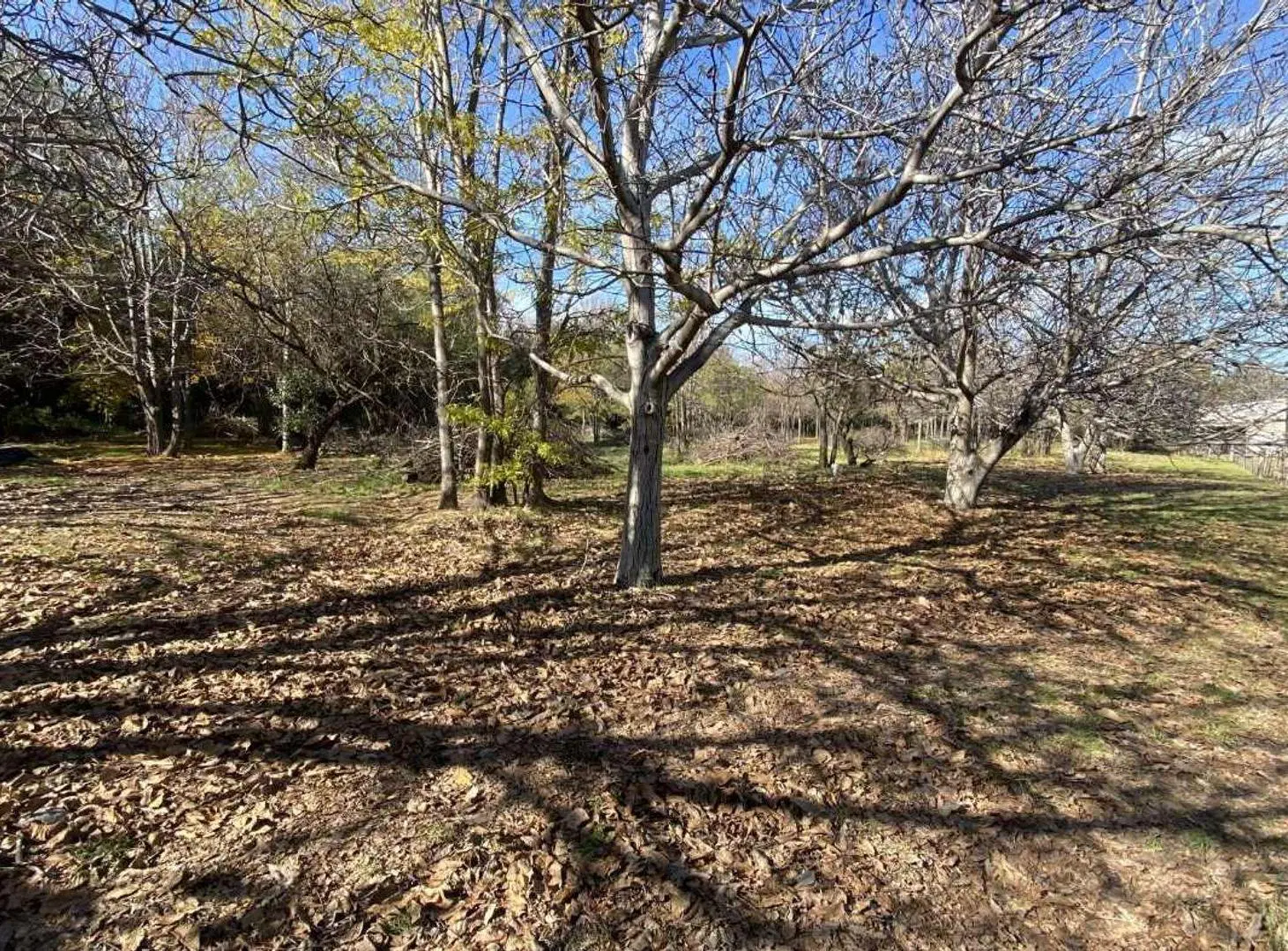 VENTA TERRENO 2.500 M2 CON ESCRITURA LOS MOLLES! 3