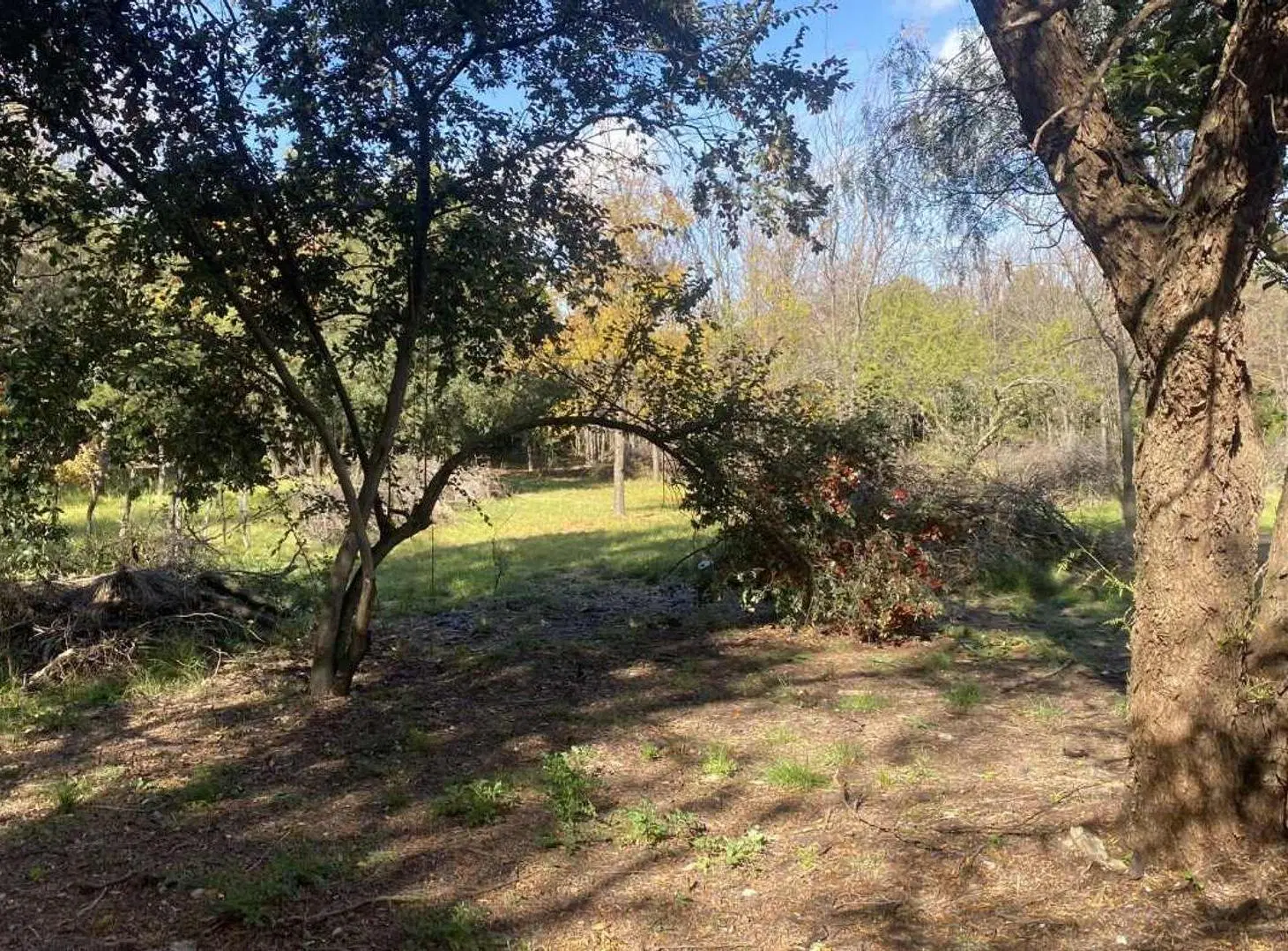 VENTA TERRENO 2.500 M2 CON ESCRITURA LOS MOLLES! 8