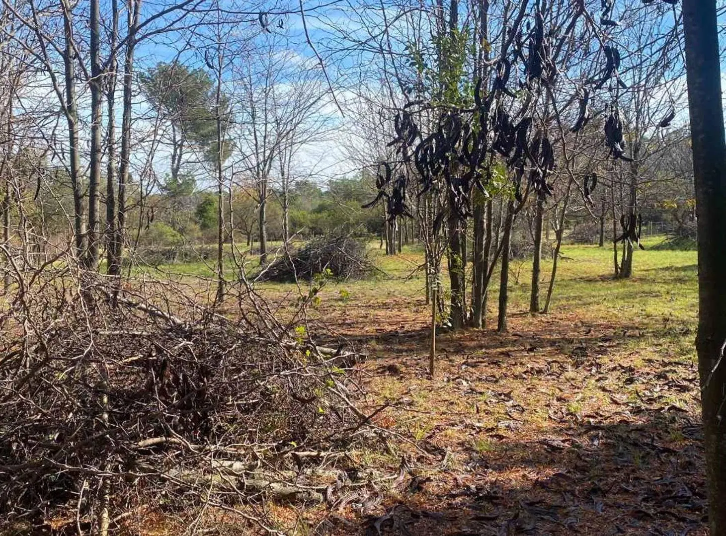 VENTA TERRENO 2.500 M2 CON ESCRITURA LOS MOLLES! 2