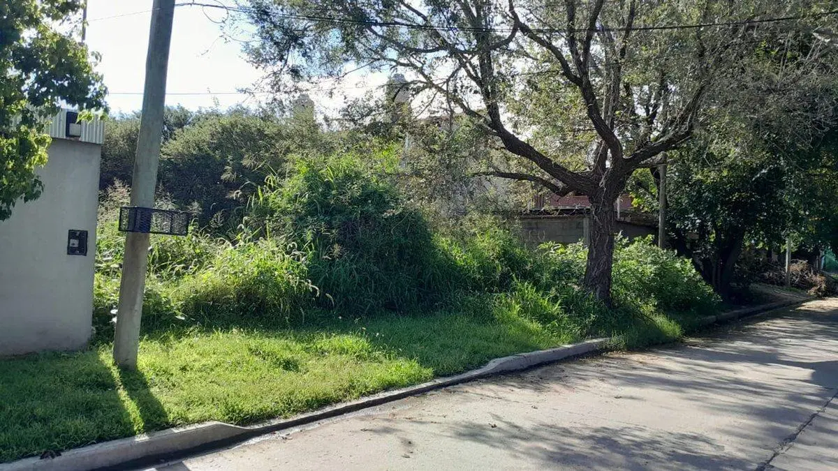 VENTA TERRENO VILLA RIVERA INDARTE 490 M2 5