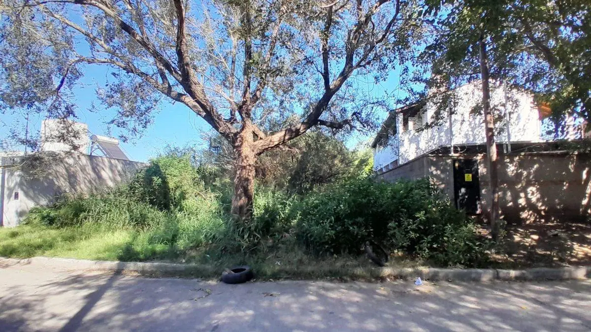 VENTA TERRENO VILLA RIVERA INDARTE 490 M2 3