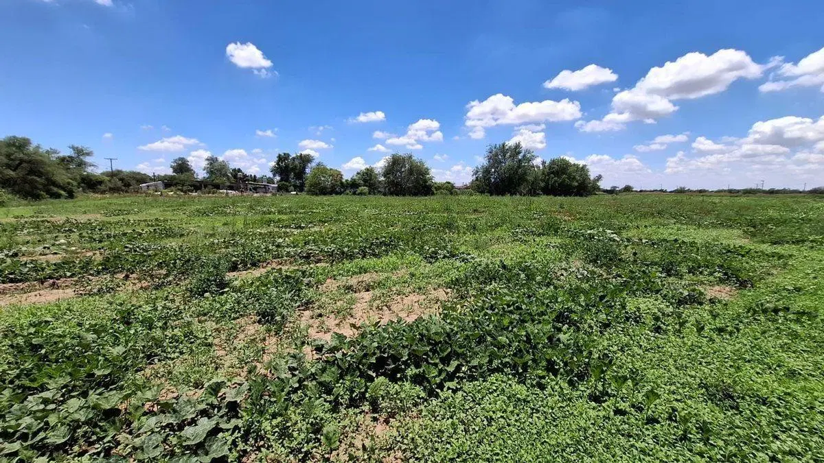 VENTA GRAN TERRENO 7500 M2 RIO PRIMERO 5
