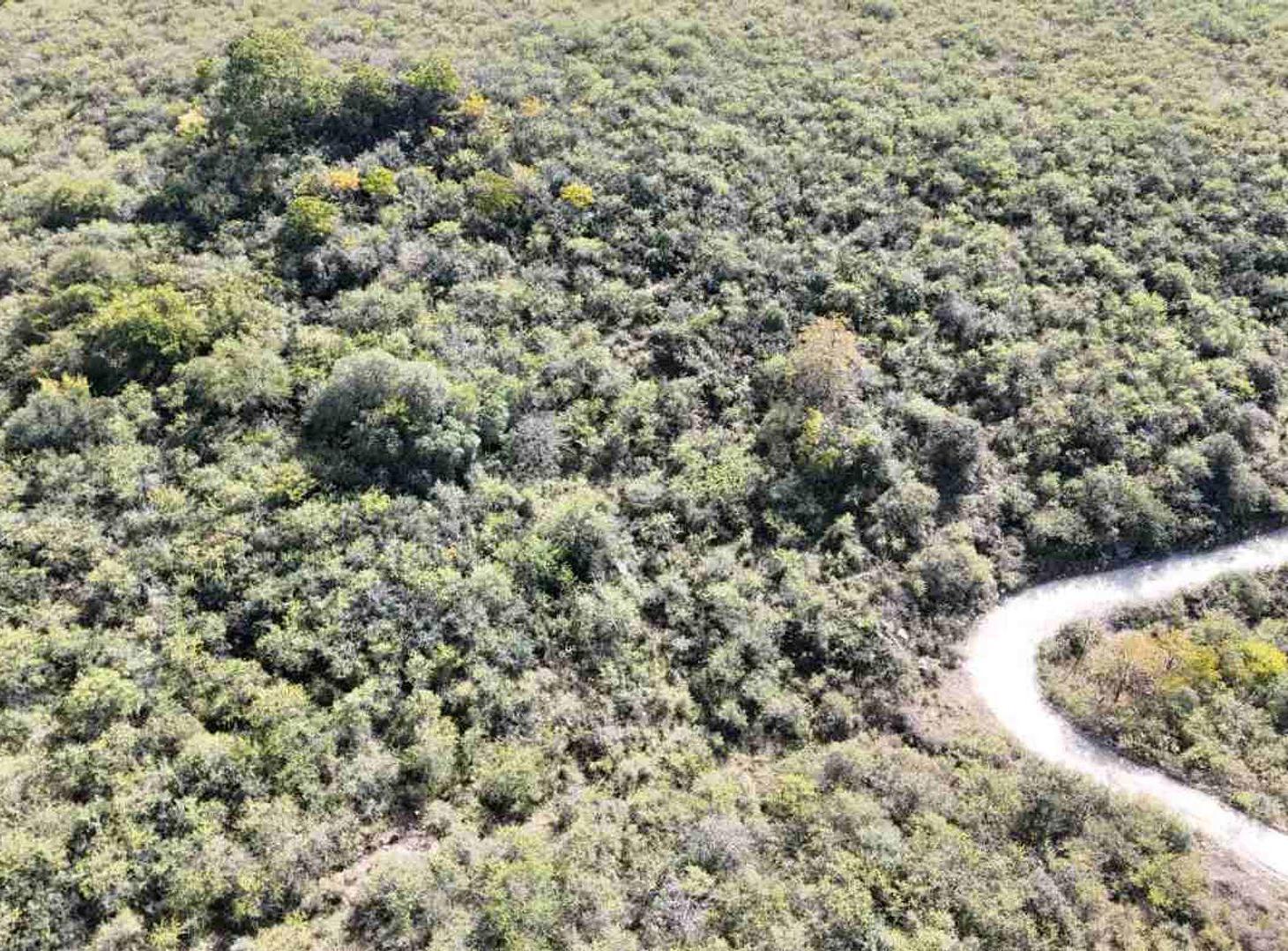 Foto de VENTA TERRENO 14486 M2 100% FINANCIADO EN LA FALDA, imagen 1