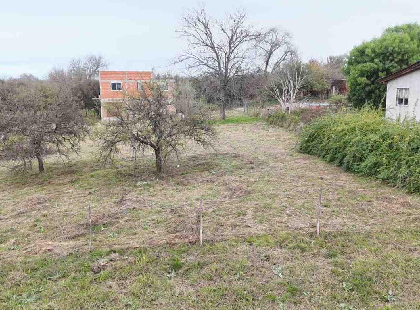 Foto de VENTA LOTE 532 M2 SANTA MONICA CALAMUCHITA, imagen 5