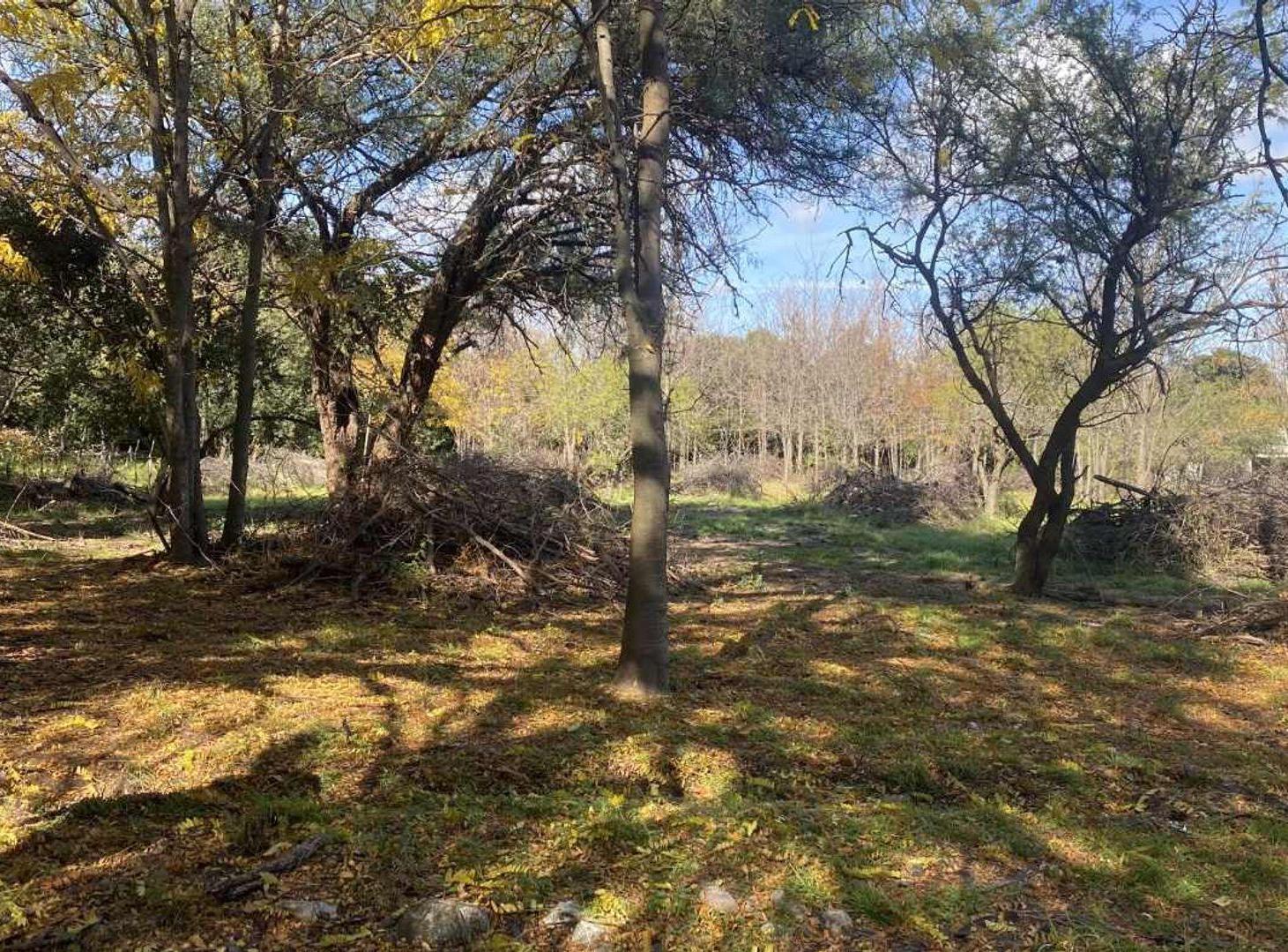 Foto de VENTA TERRENO ESCRITURA FINANCIA CUOTAS LOS MOLLES, imagen 2