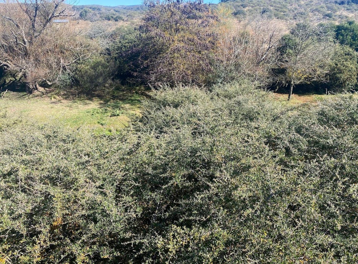 Foto de VENTA TERRENO 100% FINANCIADO 60 CUOTAS LA FALDA, imagen 5