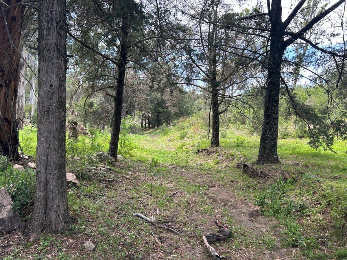 Foto de VENTA CASA DE CAMPO PILETA VILLA DEL DIQUE CUOTAS, imagen 4