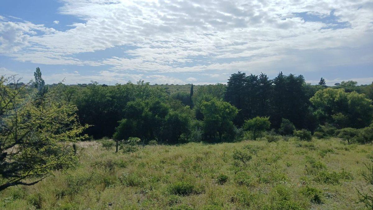 Foto de VENTA TERRENO TANTI 50.500m2 OPORTUNIDAD INVERSOR, imagen 4