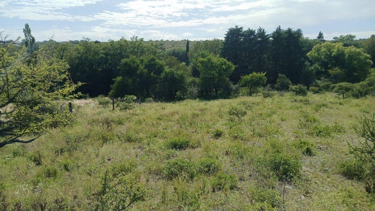Foto de VENTA TERRENO TANTI 50.500m2 OPORTUNIDAD INVERSOR, imagen 5