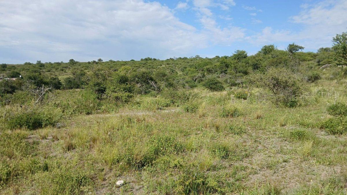 Foto de VENTA TERRENO TANTI 50.500m2 OPORTUNIDAD INVERSOR, imagen 2