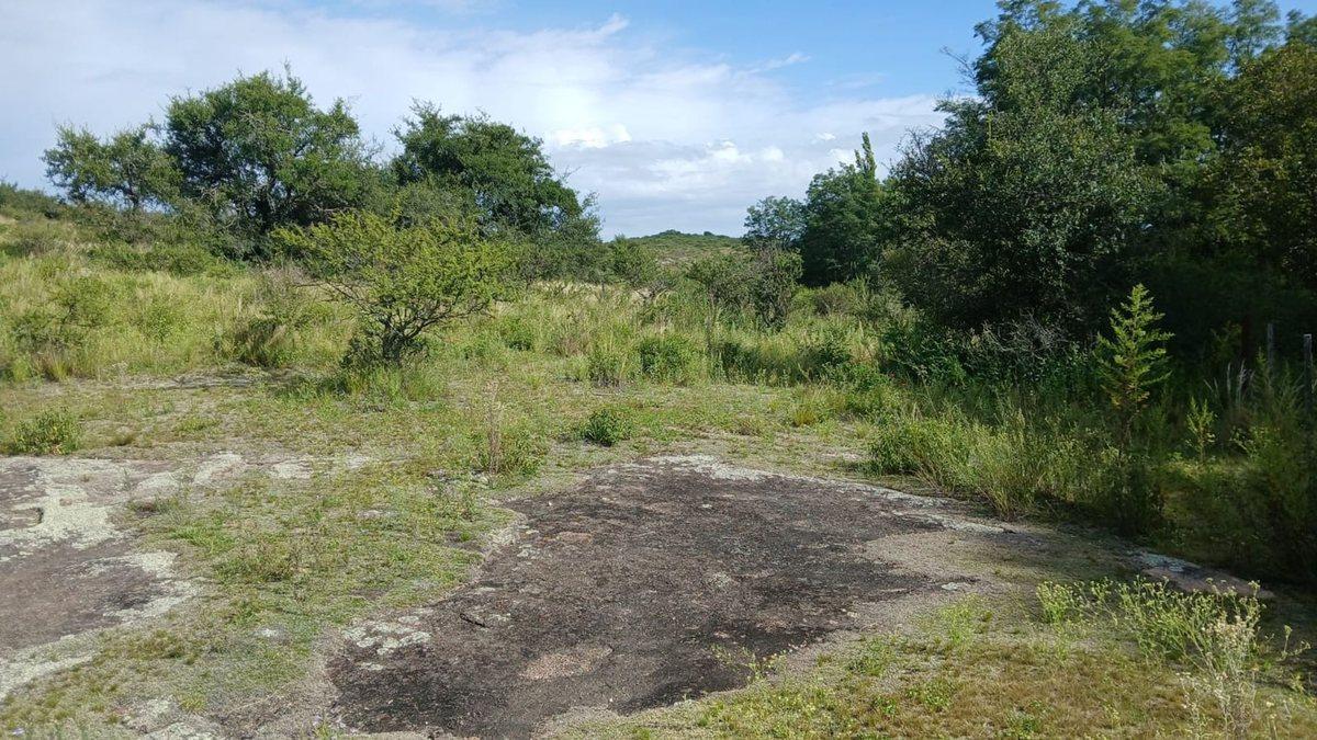 Foto de VENTA TERRENO TANTI 50.500m2 OPORTUNIDAD INVERSOR, imagen 3