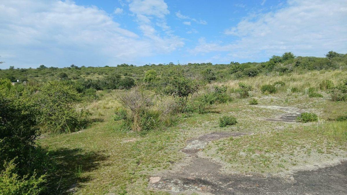 Foto de VENTA TERRENO TANTI 50.500m2 OPORTUNIDAD INVERSOR, imagen 1