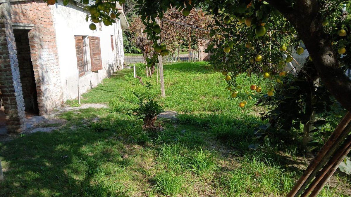 Foto de VENTA CASA CON TERRENO DE 6826 M2 EN SAN JAVIER, imagen 4