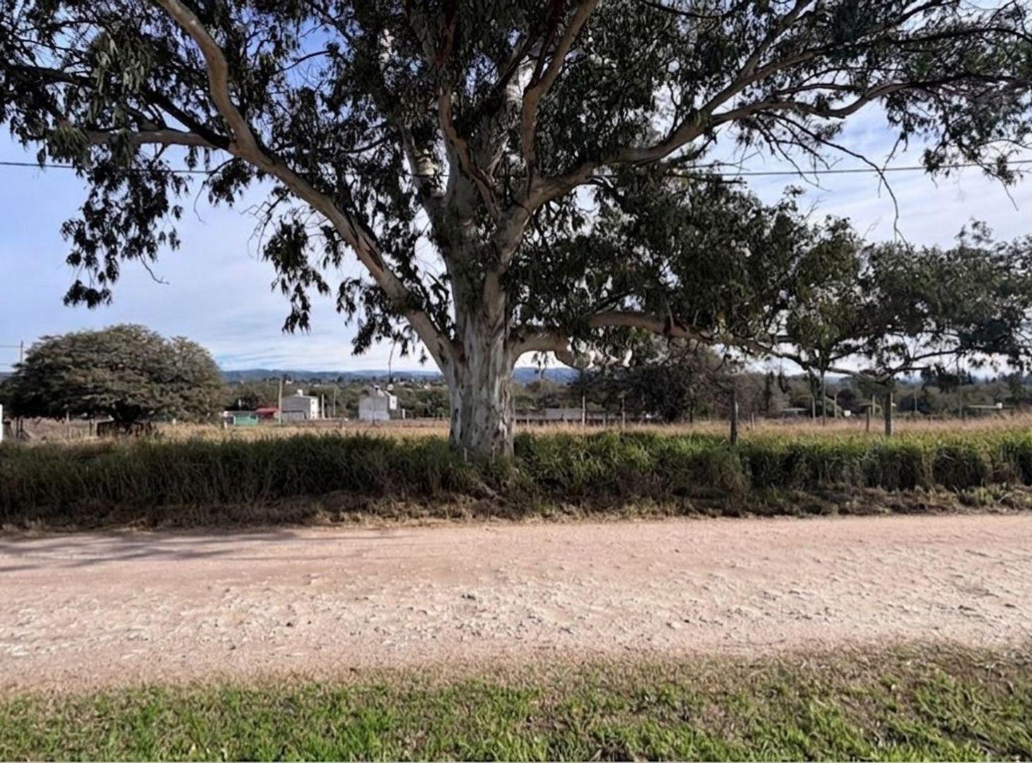 Foto de VENTA TERRENO DE 300M2 EN LOMAS DE ANISACATE, imagen 4