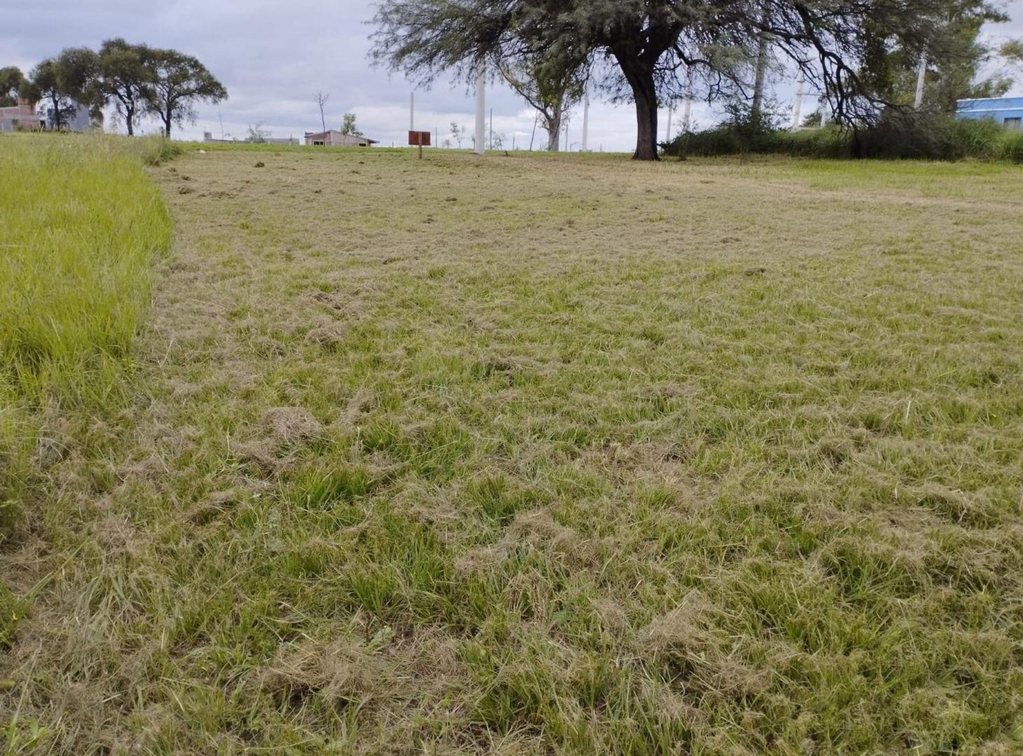 Foto de VENTA TERRENO 300M2 LOMAS DE ANISACATE, imagen 5