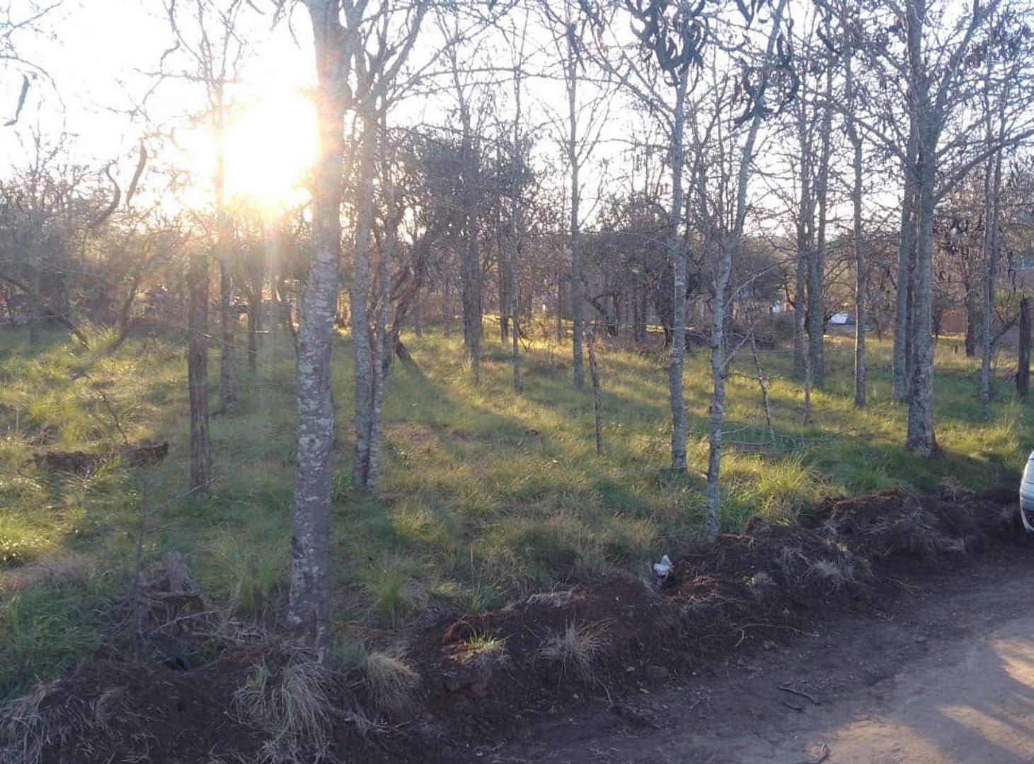 Foto de VENTA LOTE SANTA ROSA DE CALAMUCHITA, imagen 3