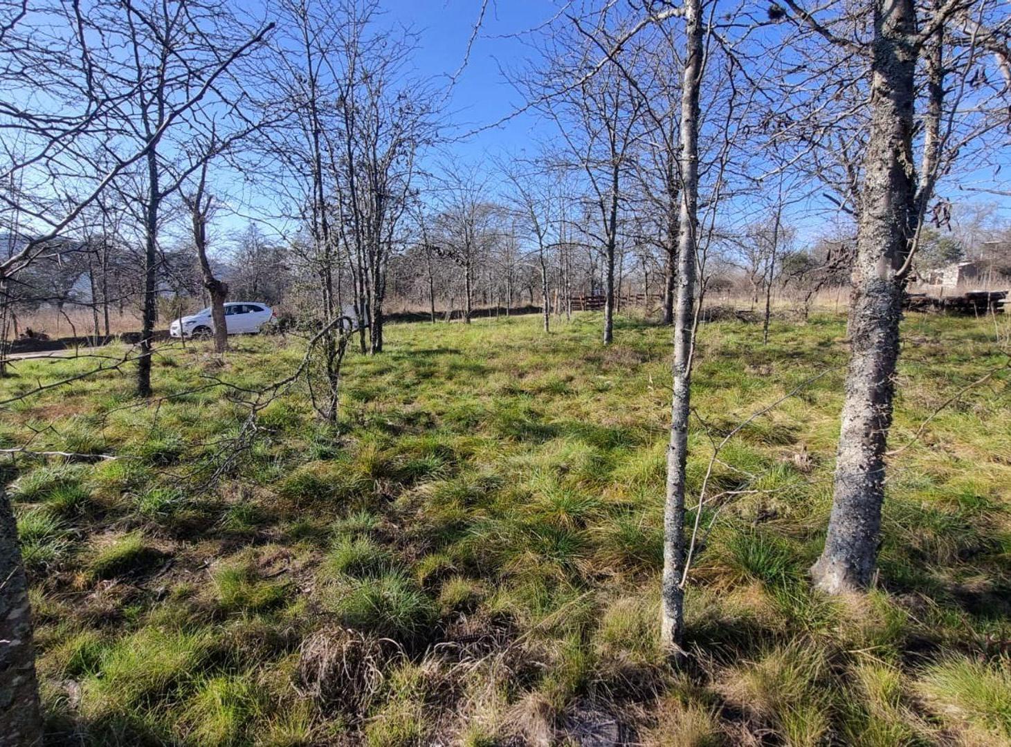 Foto de VENTA LOTE SANTA ROSA DE CALAMUCHITA, imagen 2