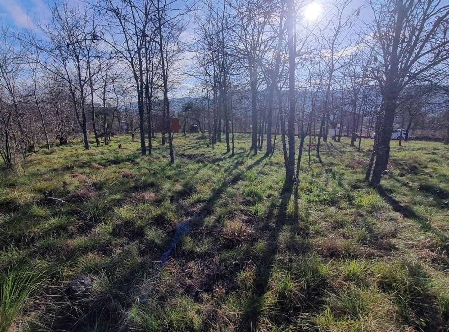 Foto de VENTA LOTE SANTA ROSA DE CALAMUCHITA, imagen 5