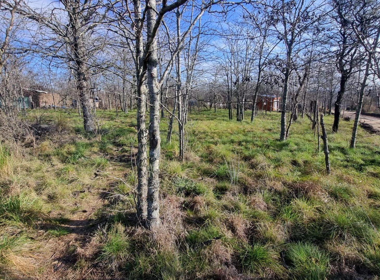 Foto de VENTA LOTE SANTA ROSA DE CALAMUCHITA, imagen 1