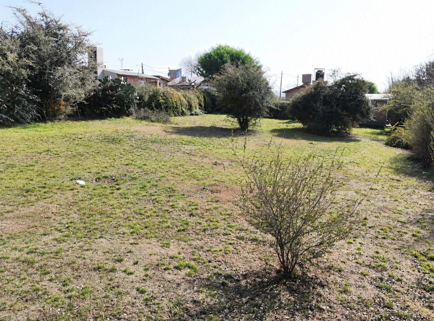 Foto de VENTA LOTE ESCRITURA SANTA MONICA CALAMUCHITA, imagen 5