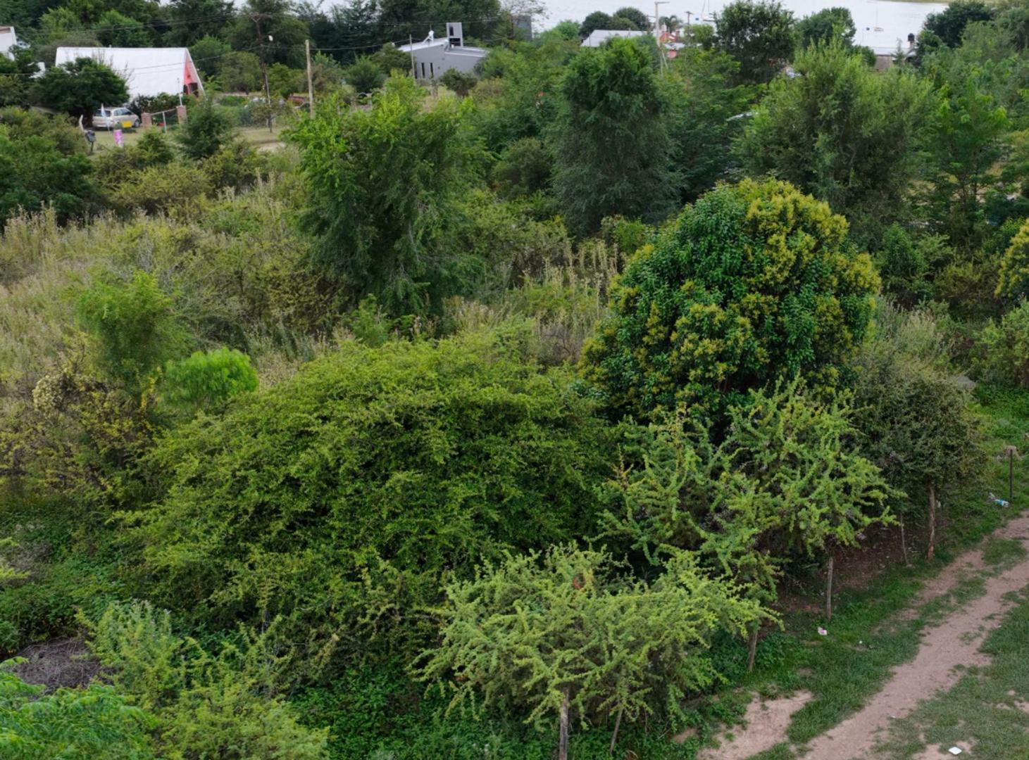Foto de VENTA TERRENO POTRERO DE GARAY CON ESCRITURA, imagen 3