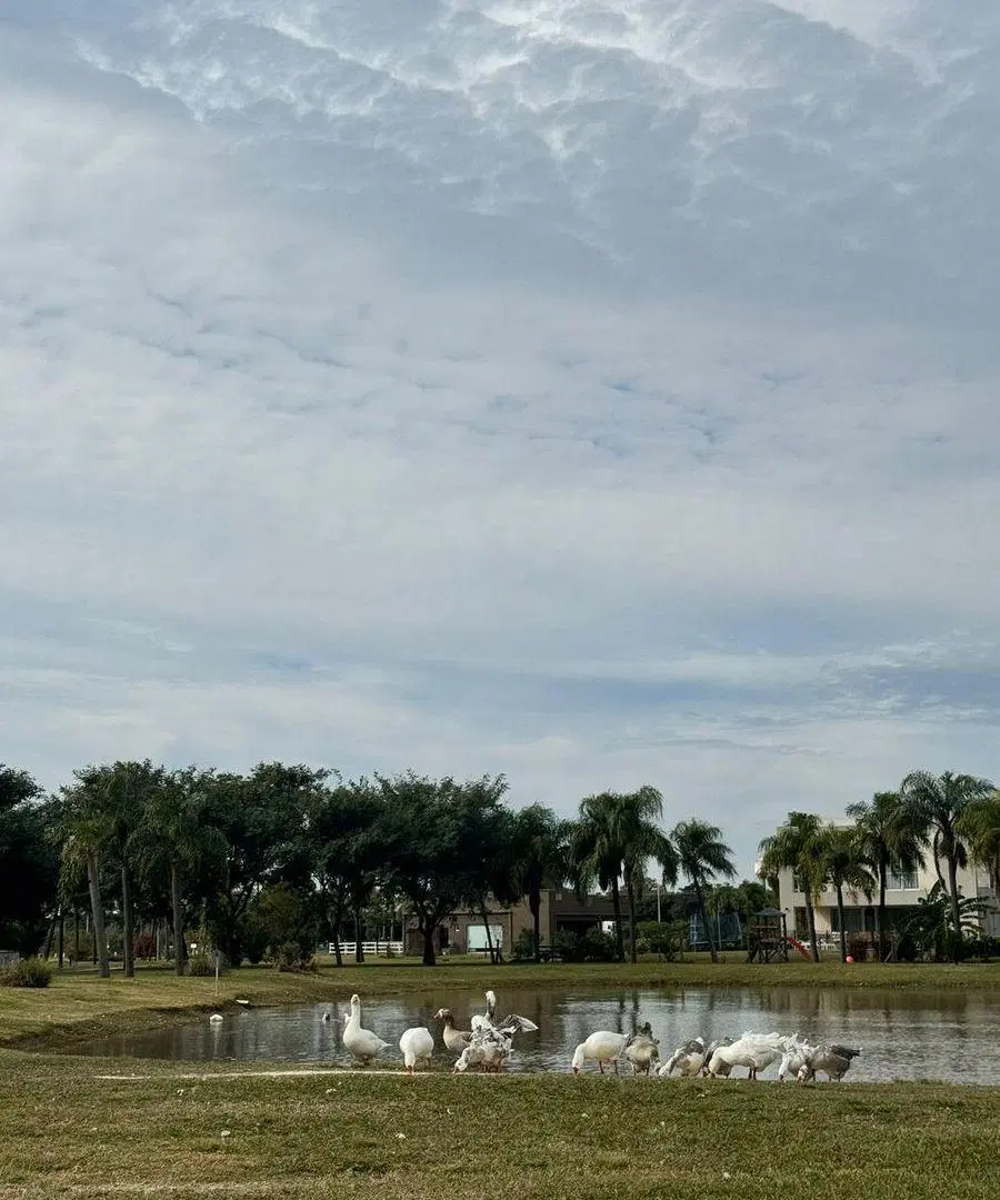 Se VENDE Excepcional terreno en AIRES DEL LLANO. Vista al Lago, sobre el Boulevard principal. 3