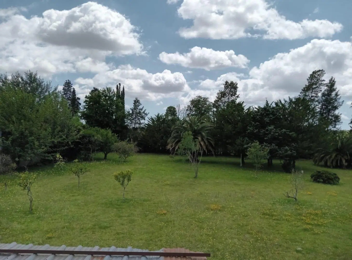 VENTA LOTE LA PLATA 3