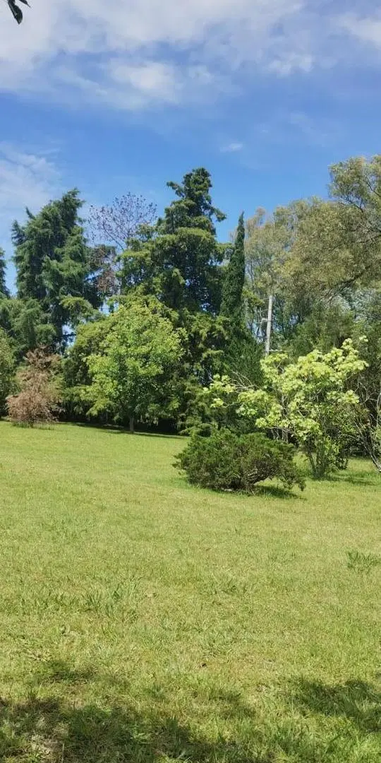 VENTA LOTE LA PLATA 8