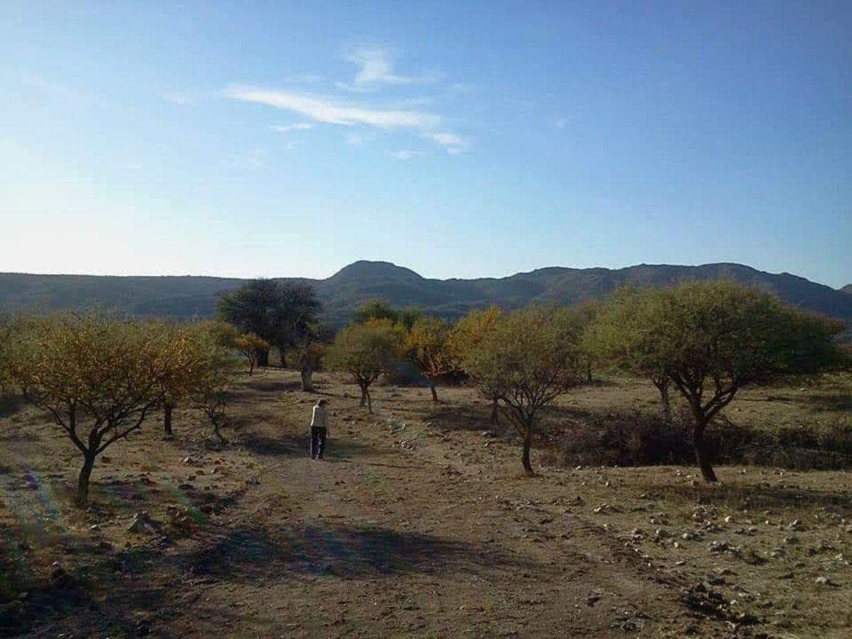 Foto de Lote en venta en San Lorenzo, imagen 5